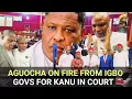 Download Lagu EVERYWHERE BRUST 😱Hon.Obi Aguocha Under Fire From Igbo Governors For Supporting Nnamdi Kanu In Court