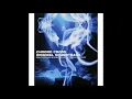 Chrono Cross - Arni (Another World)