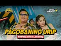 Download Lagu NDARBOY GENK x LALA WIDY - PACOBANING URIP (Official Live Music)