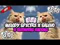 Download Lagu DJ SALEHO X RUTINITAS RADONG X MELODY SPECTRE || SLOW FULL BASS REVERB || VIRAL DI TIK TOK🎶