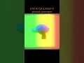 Texture Coordinates and Curves Blender Tutorial