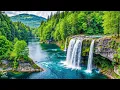 Download Lagu Prachtige ontspannende muziek 🍀 Helende klanken voor meditatie, balans en betere slaap