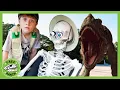 Download Lagu Giant T-Rex Dinosaur vs Funny Skeleton! T-Rex Ranch Dinosaur Videos