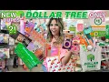 DOLLAR TREE IS BETTER THAN ULTA SEPHORA RUN for These Viral Dupes GIRL SHOPPING SPREE