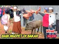 Lagu DI KONTRAKAN REMPONG ADA BABI NGEPET DI TANGKAP OLEH WARGA BERUBAH WUJUD JADI WANITA CANTIK , tuyul