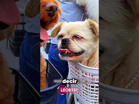 ELLA ME HA LLAMADO FEA
