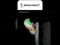 Download Lagu Serangga: “Detik-Detik Tonggeret Moulting! 😱🪲 Transformasi Ajaib 🦋” #wildgoodnice #cicadas #moulting
