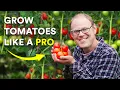 Download Lagu 5 Secrets to Growing Amazing Tomatoes (That Really Work)