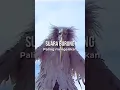 Download Lagu suara burung paling menyeramkan part 1