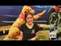 Furever Home Pets of the Week Tod and Copper