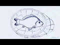 Fishing 2D Animation
