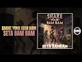 Lagu Seta Bam Bam - Shake Your Bam Bam | Official Audio