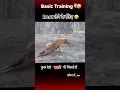 Download Lagu #army #foji #indianarmedforces #armytraining #training #shorts #indianmilitary #armylover #video
