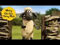 Download Lagu Cừu tốt nhất 🐑 Những Chú Cừu Thông Minh 🐑  Tập đầy đủ