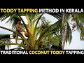 Download Lagu COCONUT TODDY TAPPING METHOD IN KERALA | Coconut Toddy making Process