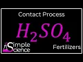 The Contact Process