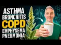 BREATHE Easy w Herbal Mullein Tea 3 Step Guide