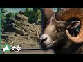 Building a BIGHORN SHEEP Habitat in the Elm Hill City Zoo Planet Zoo