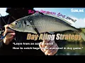 Download Lagu 【Japanese Ajing game】Learn from an azing expert! How to catch huge horse mackerel in day game.
