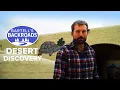 Barstow museum is a gateway to the Mojave Desert and home to California s largest meteorite