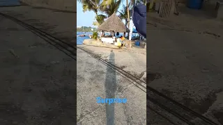 la surprise