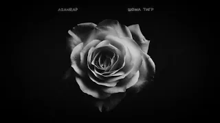 AsanRap шома тигр Slowed 