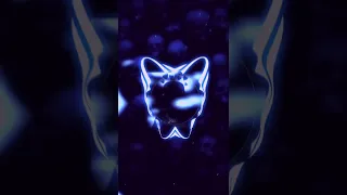 مهرجان دبه عاليه 