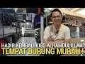 Download Lagu BEGINILAH ! KIOS ALHAMDULILLAH SEKARANG TEMPAT OBRAL BURUNG MURAI DI JAKARTA TIMUR 