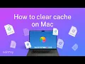 How to clear cache on Mac a complete cleanup guide for 2025
