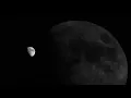CJ Mirra  - In Search Of Silence