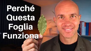 Una SPEZIA comune RIDUCE il Colesterolo LDL del 40% e la Glicemia del 26% in 30 GIORNI