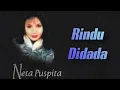 Download Lagu Neta | Rindu Didada (Album Version)