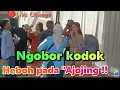 Download Lagu NGOBOR KODOK // Koplo Bajidoran🔴Live nico entertainment