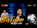Download Lagu Salah|| Lobow||Voc Novi 1289(Viral TikTok)