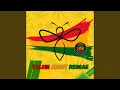 Talkin About Reggae