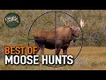 Download Lagu 20 Moose Hunts in 20 Minutes! (ULTIMATE Moose Hunting Compilation) | BEST OF