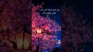 تلاوة مباركة للشيخ محمد البراك        دندنها