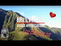 Bible Verses About Appreciation Christian Meditations with God s Word