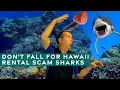 Don t fall for Hawaii rental scam sharks