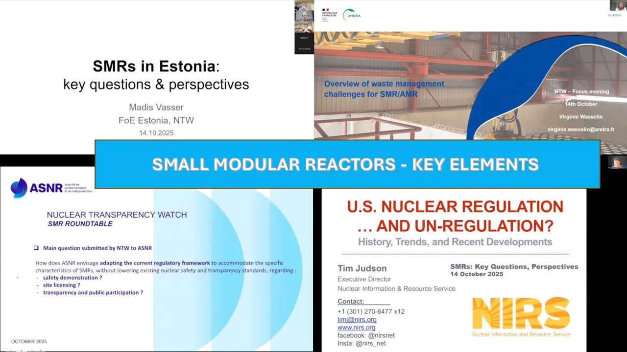 Small Modular Reactors (SMRs): cross-cutting views.