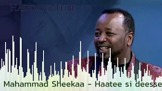 Best Oromo Music Mahammad Sheekaa Haatee Si Deesse Haddaar Tube 