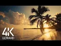 Download Lagu 8 HOURS Calm Ocean Waves Sounds - Tropical Beach Sunrise 4K Video