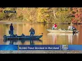 10K Trout Stocked In Maryland Waterways
