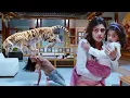 Download Lagu खूंखार Tiger को घर में पालना पड़ा माँ बच्ची को मेहेंगा - Srikanth, Raai Laxmi, Naira Shah - Mirugaa