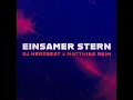 Einsamer Stern (Remix) - DJ Herzbeat & Matthias Reim