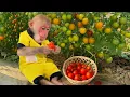 Download Lagu So Cute! Monkey Bibi Helps Grandma Harvest Ripe Tomatoes to Earn Money for Milk!