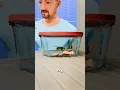 Channel