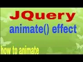 JQuery animation JQuery animate effect JQuery lecture 10