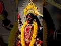 Download Lagu Jai maa shyama sundari #shyamasundari #maakali #mahakali #kalimaa #kalipuja #kali  #maa