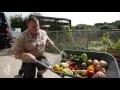 Daily Diet for the Gorillas at Durrell